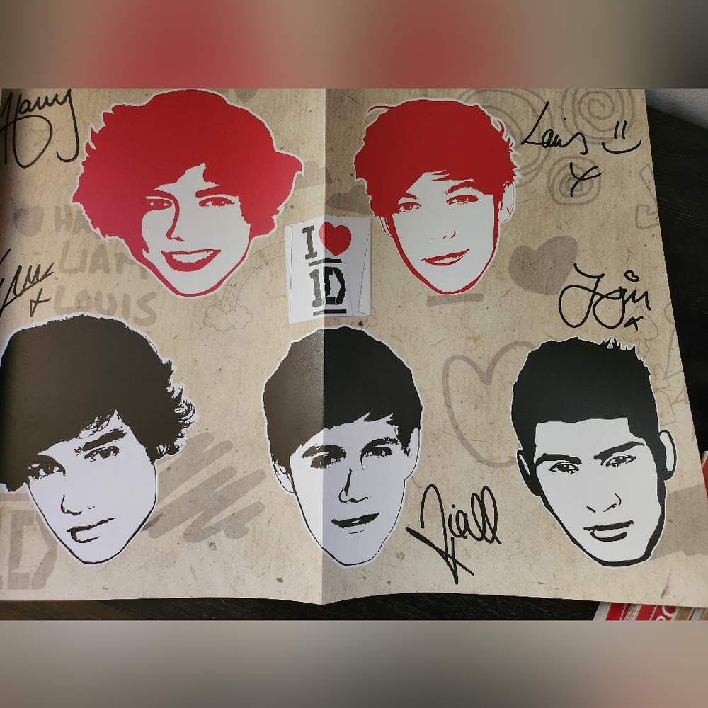 One Direction Ultimate Fan Book - Picture 8 of 16